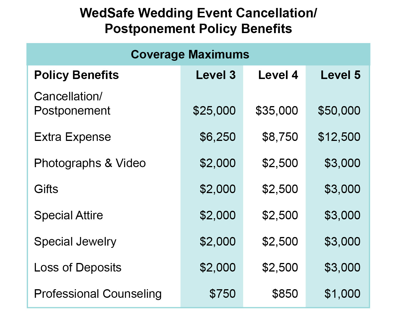 Wedding Cancellation Insurance And Event Cancellation Wedsafe